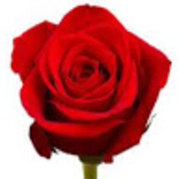 Meet your Posher, Hayden - Picture 1 of 1